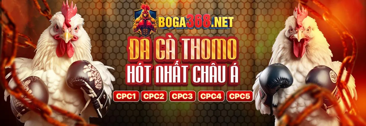 Blog 79king casino, thông tin cá cược trực tuyến, giải trí hàng đầu